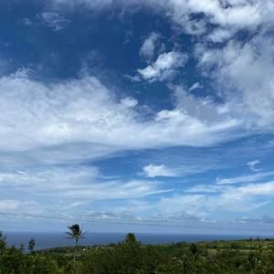 Meet your Posher, Frank